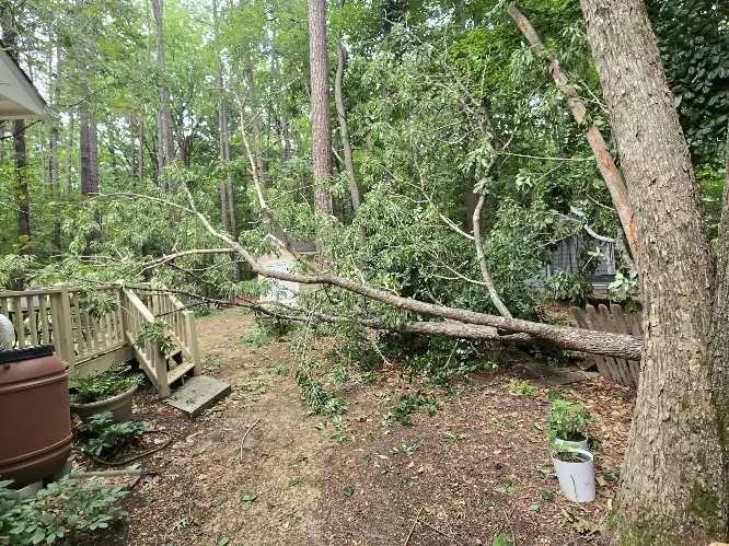 Before & After project photo from RTP, NC