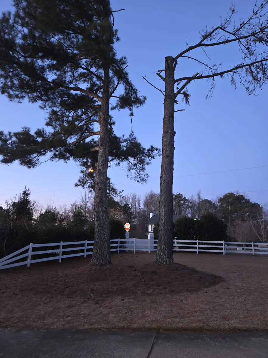 Before & After project photo from RTP, NC