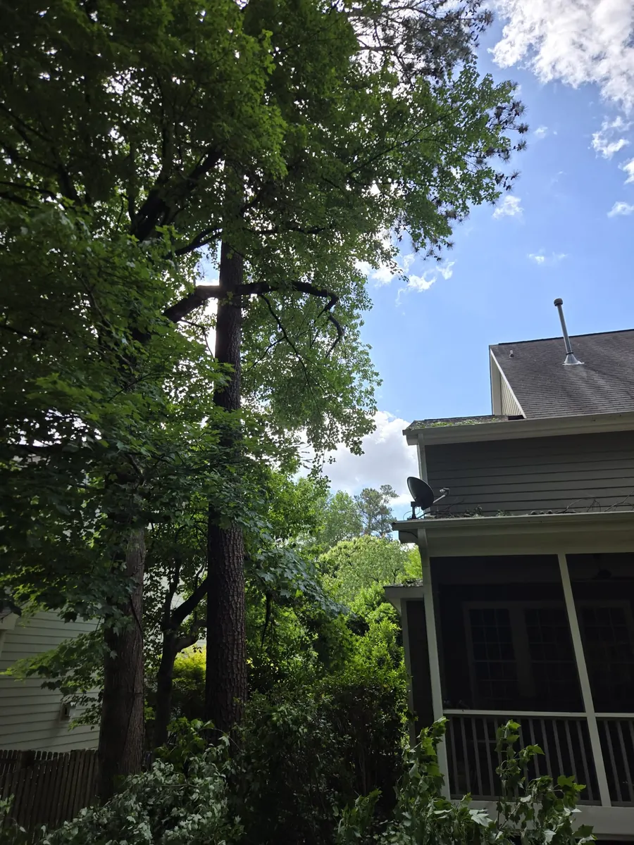 Tree removal project photo from RTP, NC